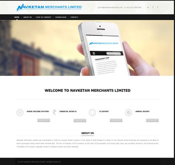 Website Design of Navketan Merchants Limited